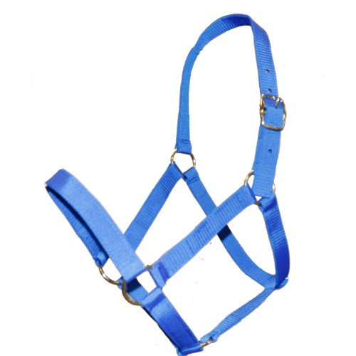 Stable Halter Pack   Full - 5 Pack Halters Assorted